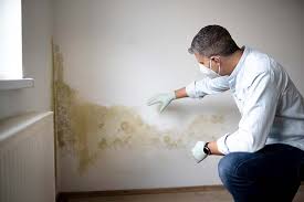 Why You Should Choose Our Mold Remediation Services in Strum, WI